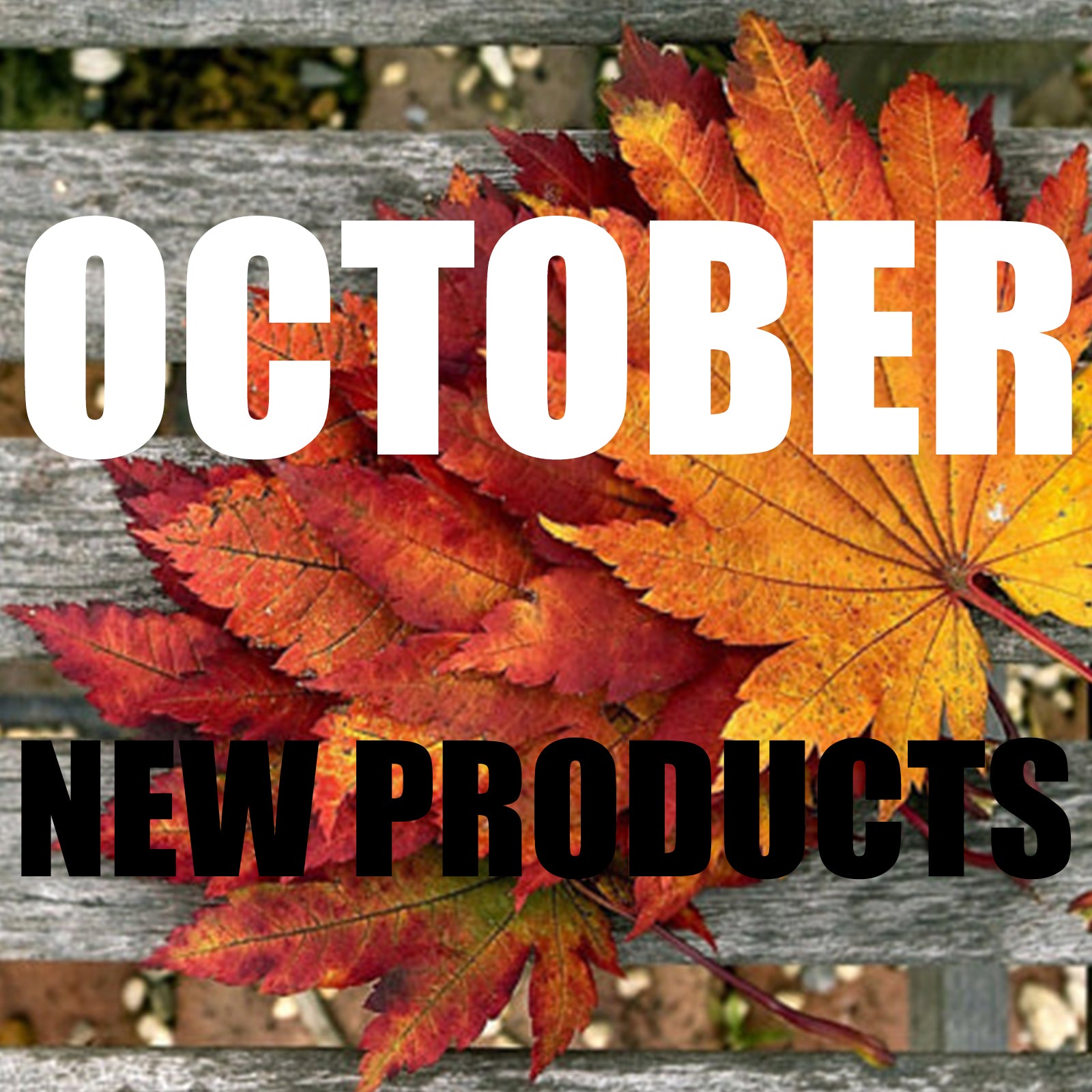 New products are coming in October, 20% OFF waiting for you to take home